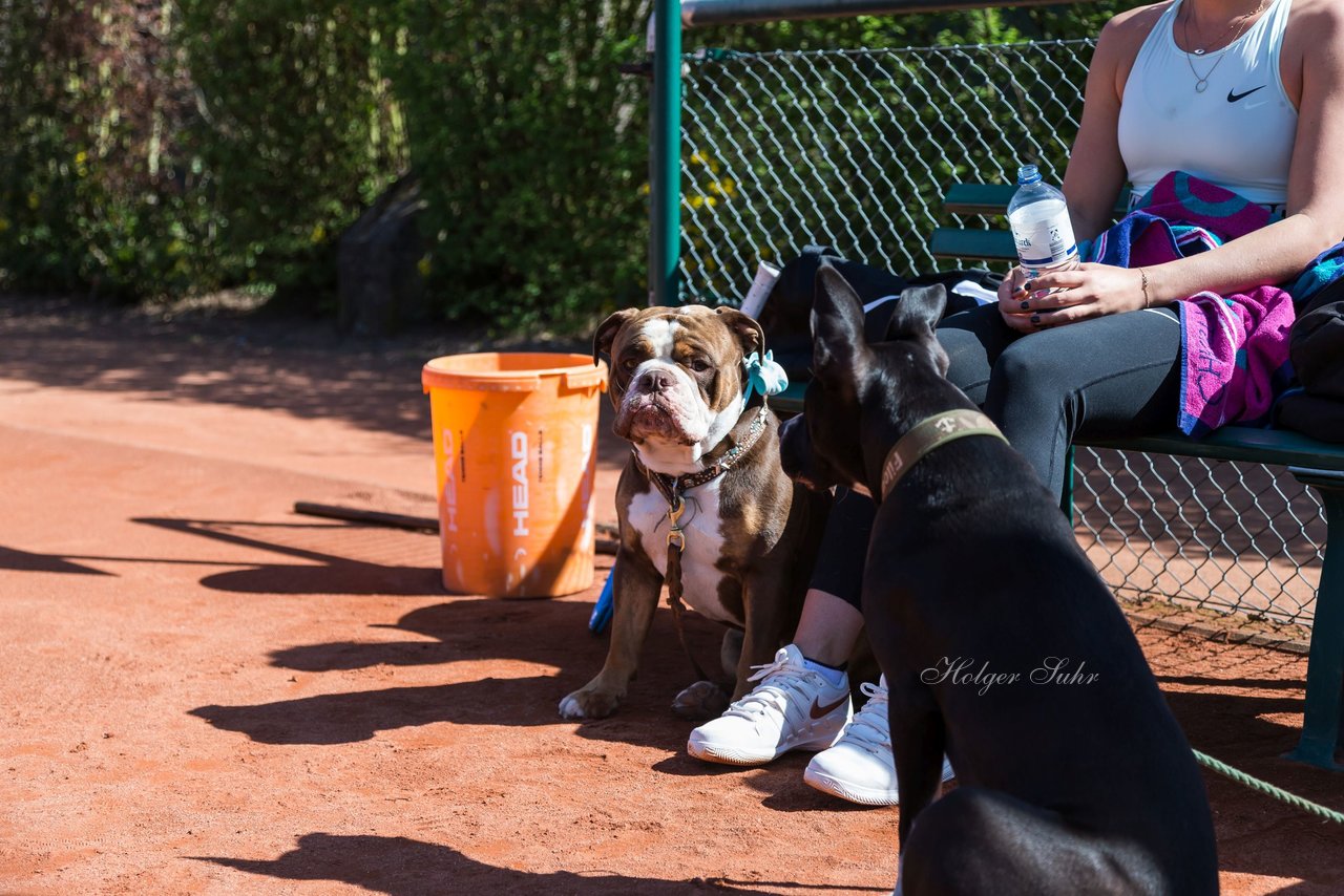 Trainingstag am 20.4.19 122 - Training mit Carina